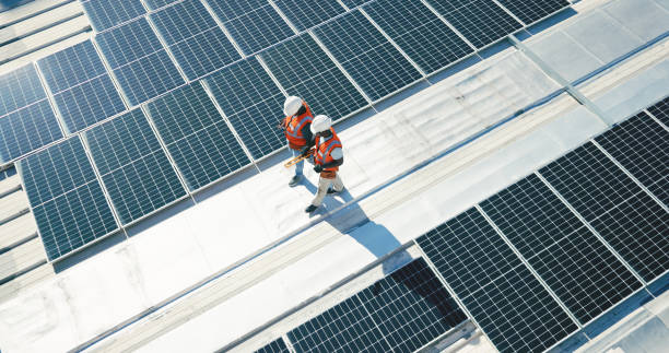 Best Roof Moss and Algae Removal  in Indiana, PA